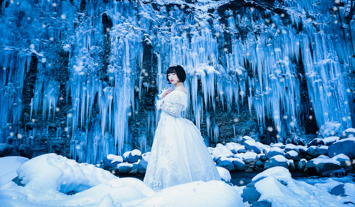Snow Beauty II Poster och Canvastavla