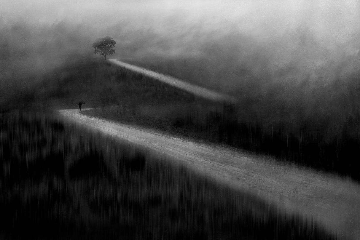 To the mountain of cloud Poster och Canvastavla