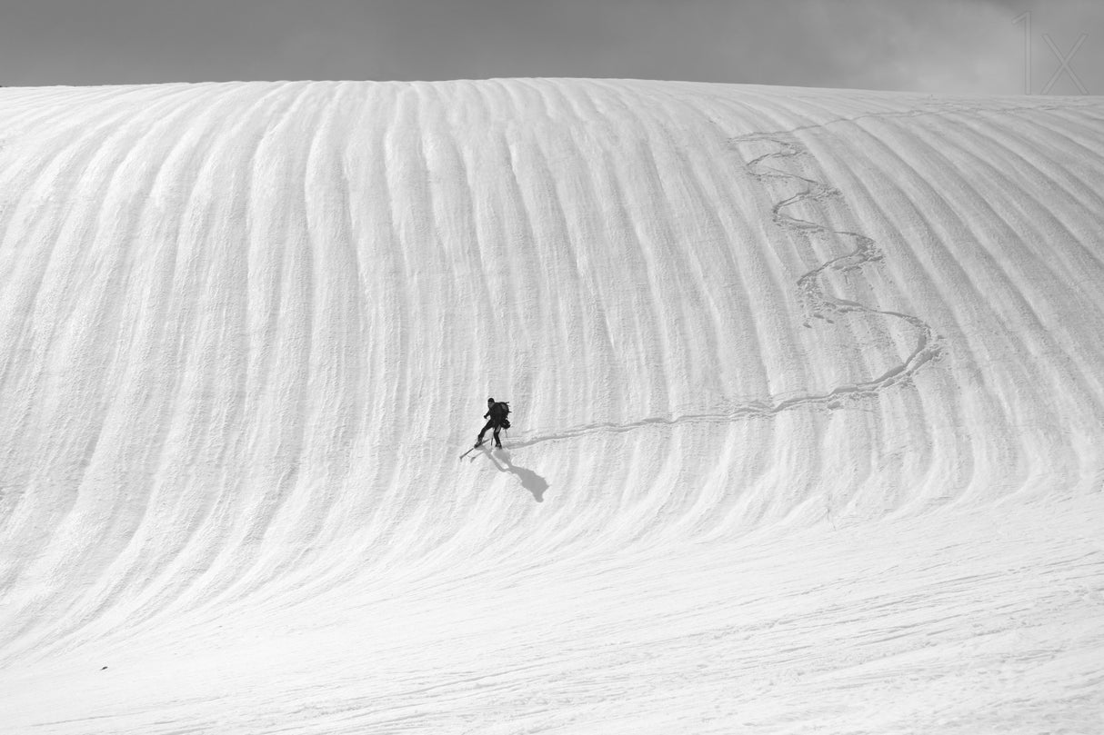 Snow wave surfing Poster och Canvastavla