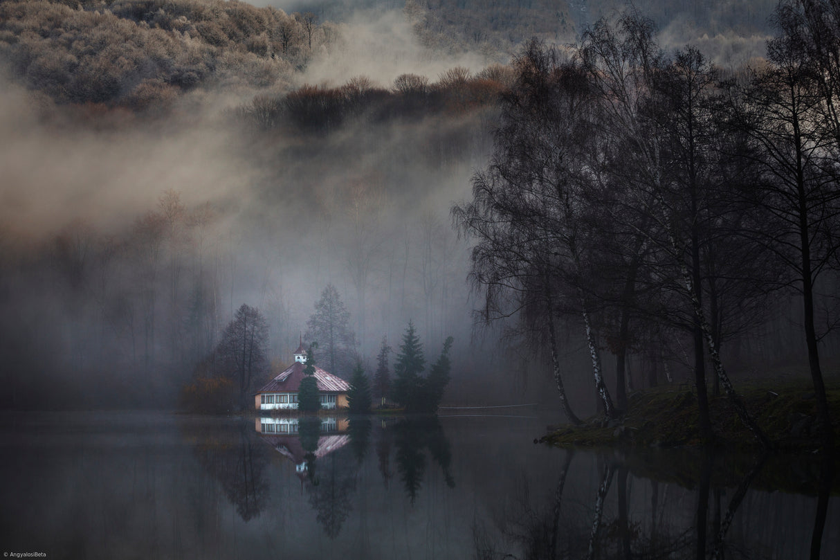 Mist Poster och Canvastavla