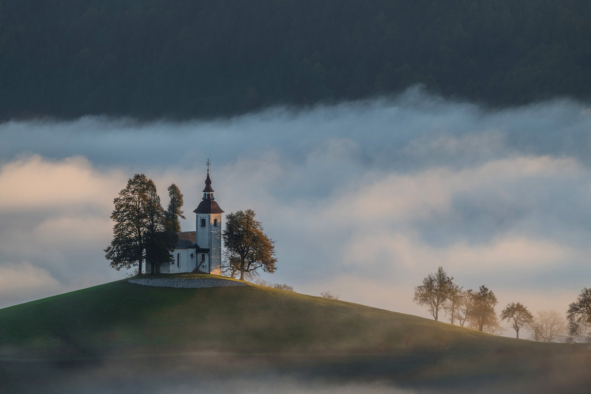 In the morning fog Poster och Canvastavla