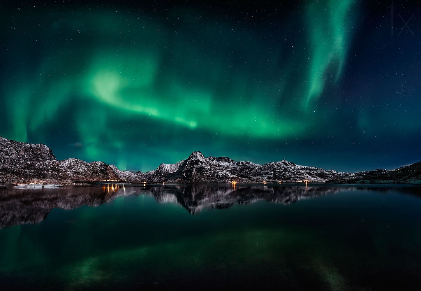 Lofoten Aurora Reflection Poster och Canvastavla