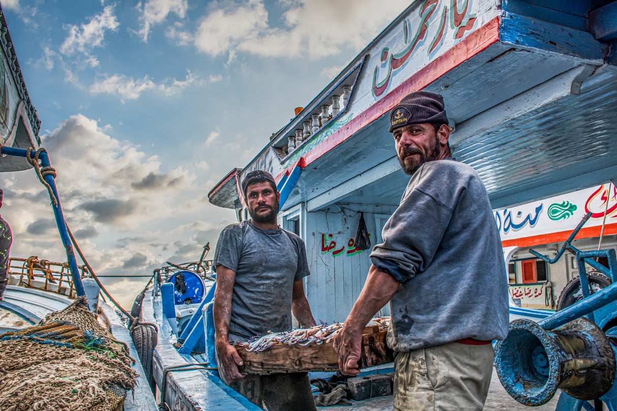 today's catch Poster och Canvastavla