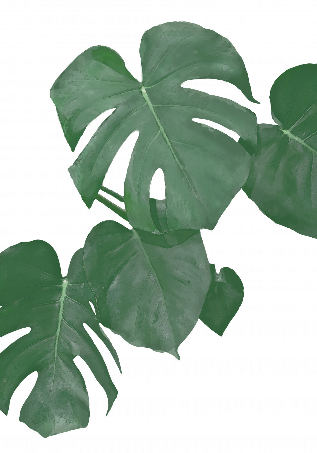 Monstera Aqua 01 Poster och Canvastavla