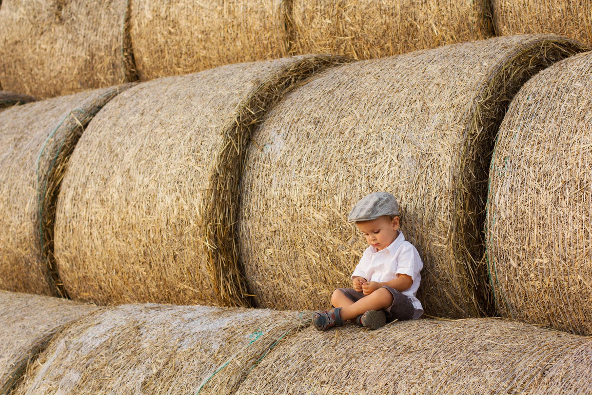 Haystacks Poster och Canvastavla