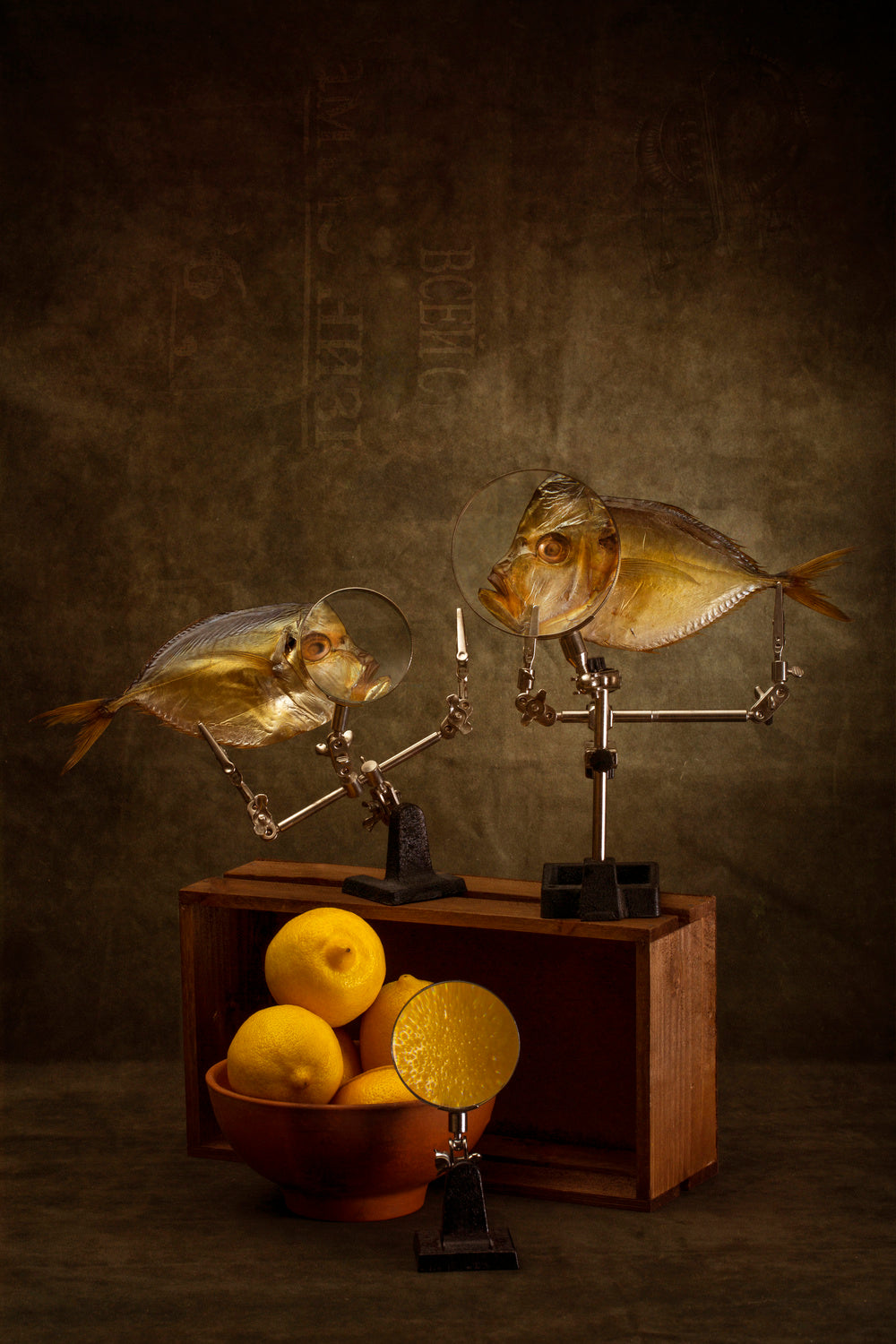 Conversation of two moon fish about the properties of lemons Poster och Canvastavla