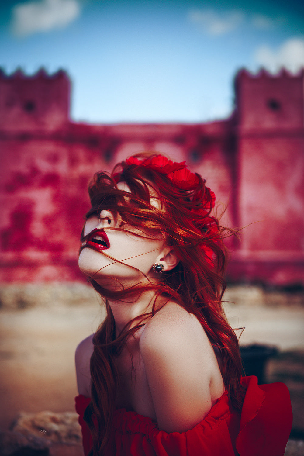 The Queen of Red Castle Poster och Canvastavla