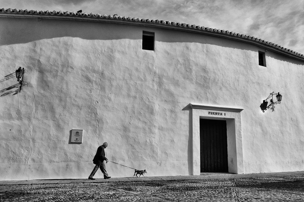 s/t Poster och Canvastavla