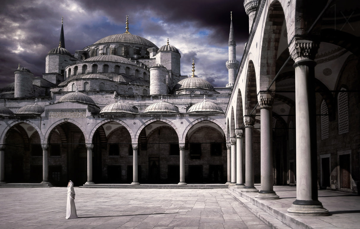 Lady and the mosque Poster och Canvastavla