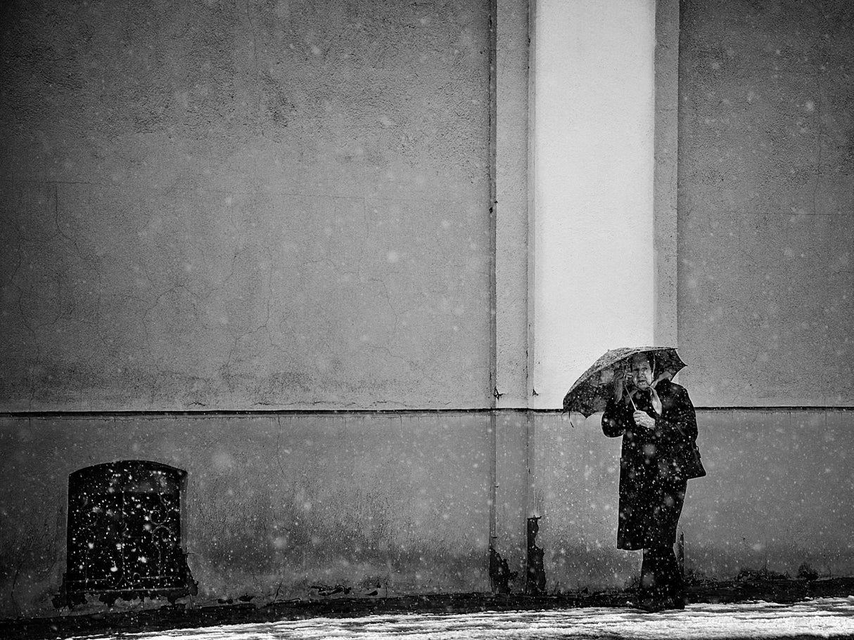 winter passengers Poster och Canvastavla