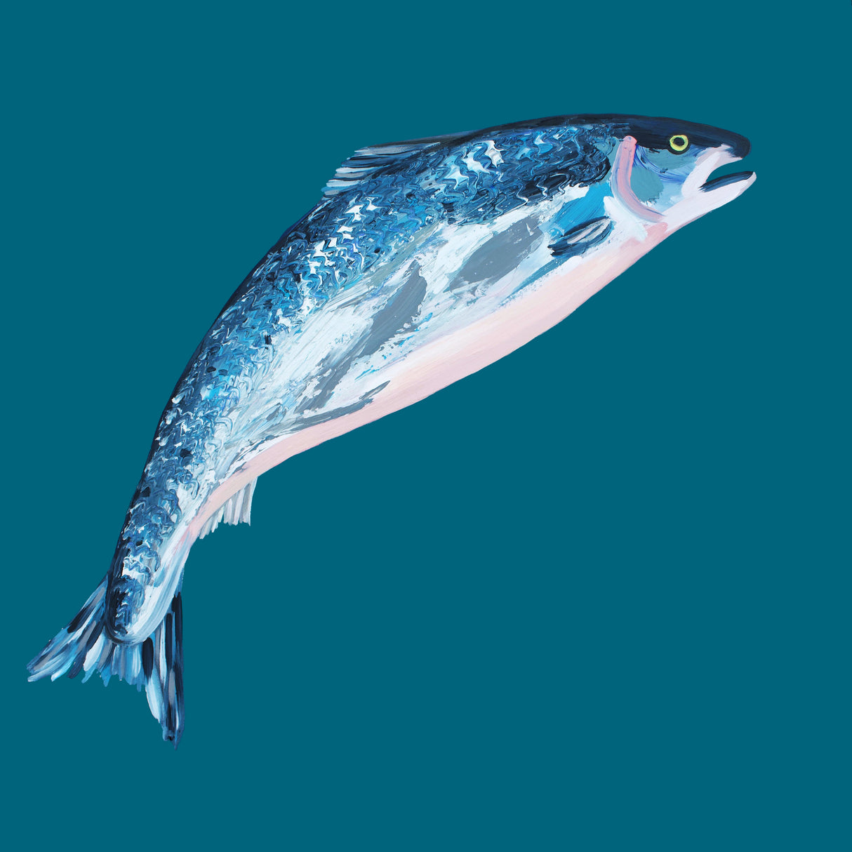 Leaping Salmon Poster och Canvastavla