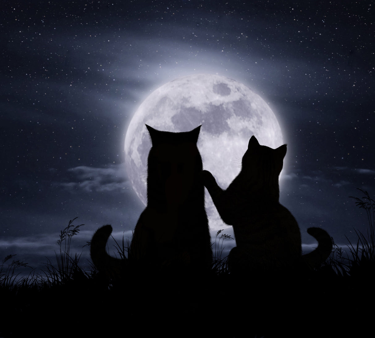 Romantic date... Poster och Canvastavla