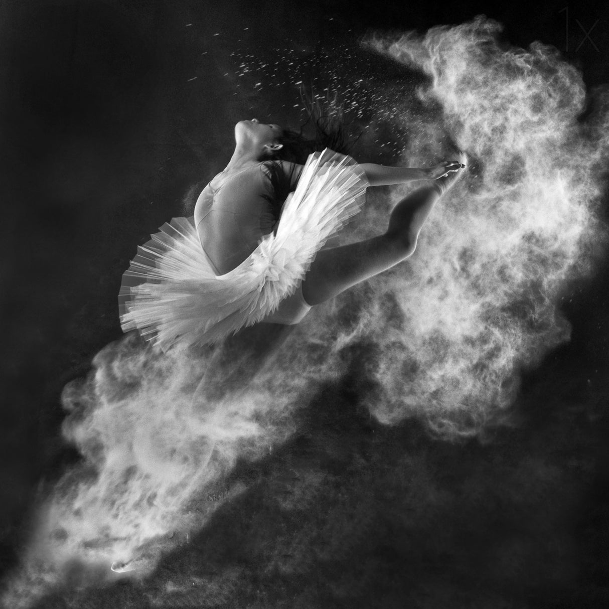 Down to Earth Poster och Canvastavla