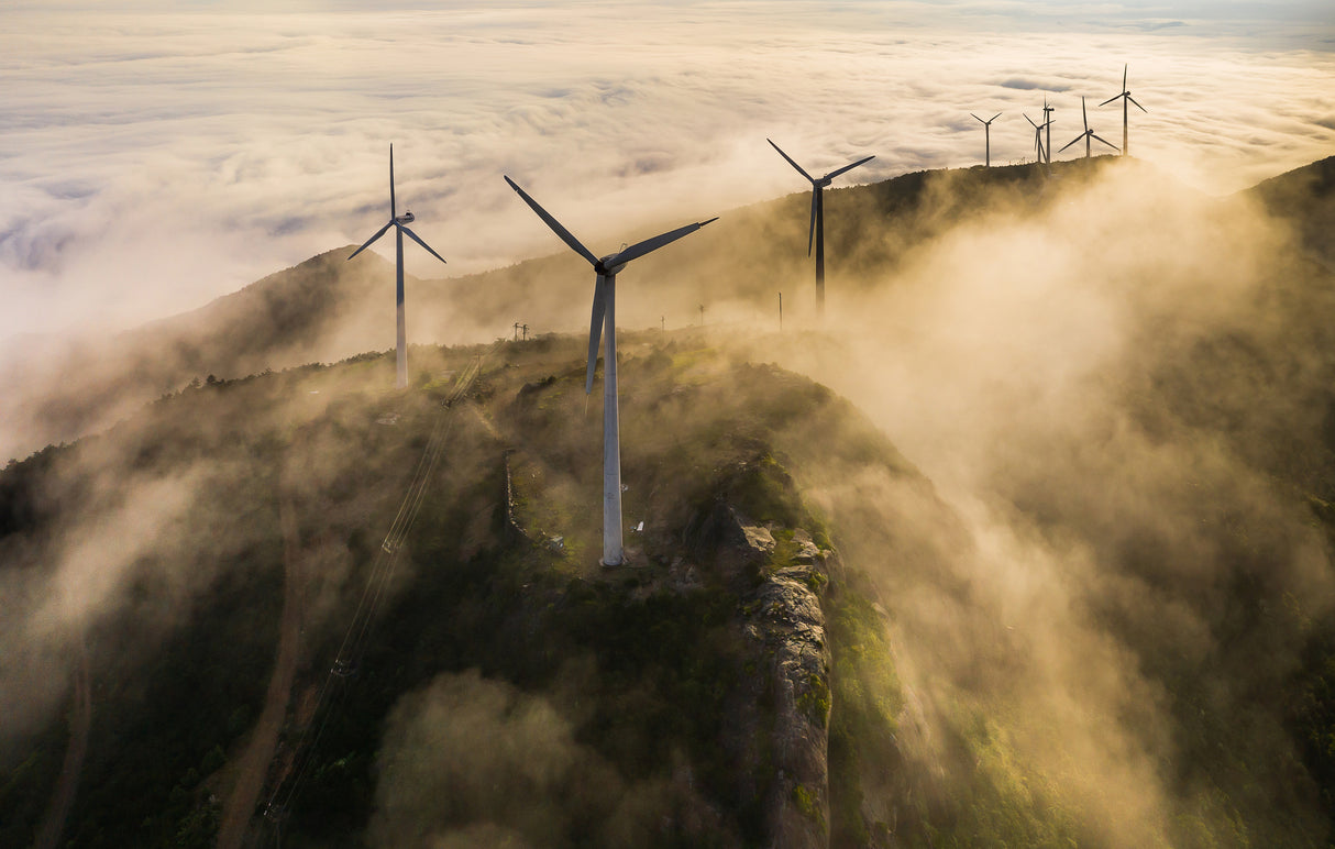Wind Farm Poster och Canvastavla
