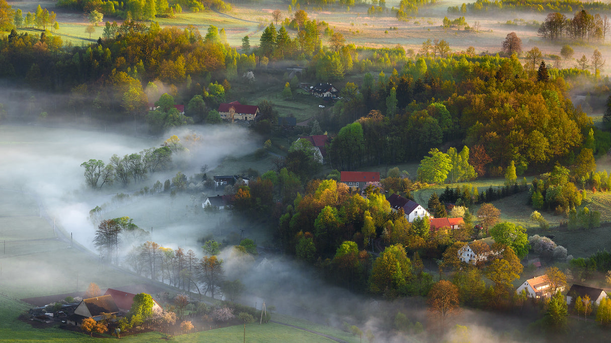 Very Early Spring Poster och Canvastavla