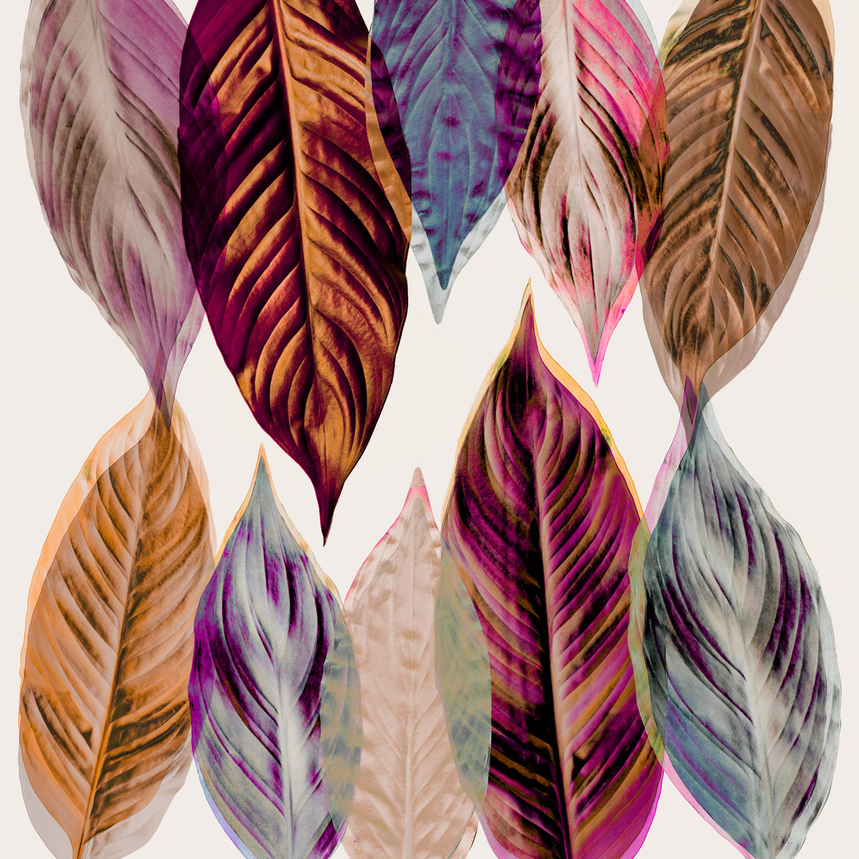 Red and Pink Leaves Poster och Canvastavla