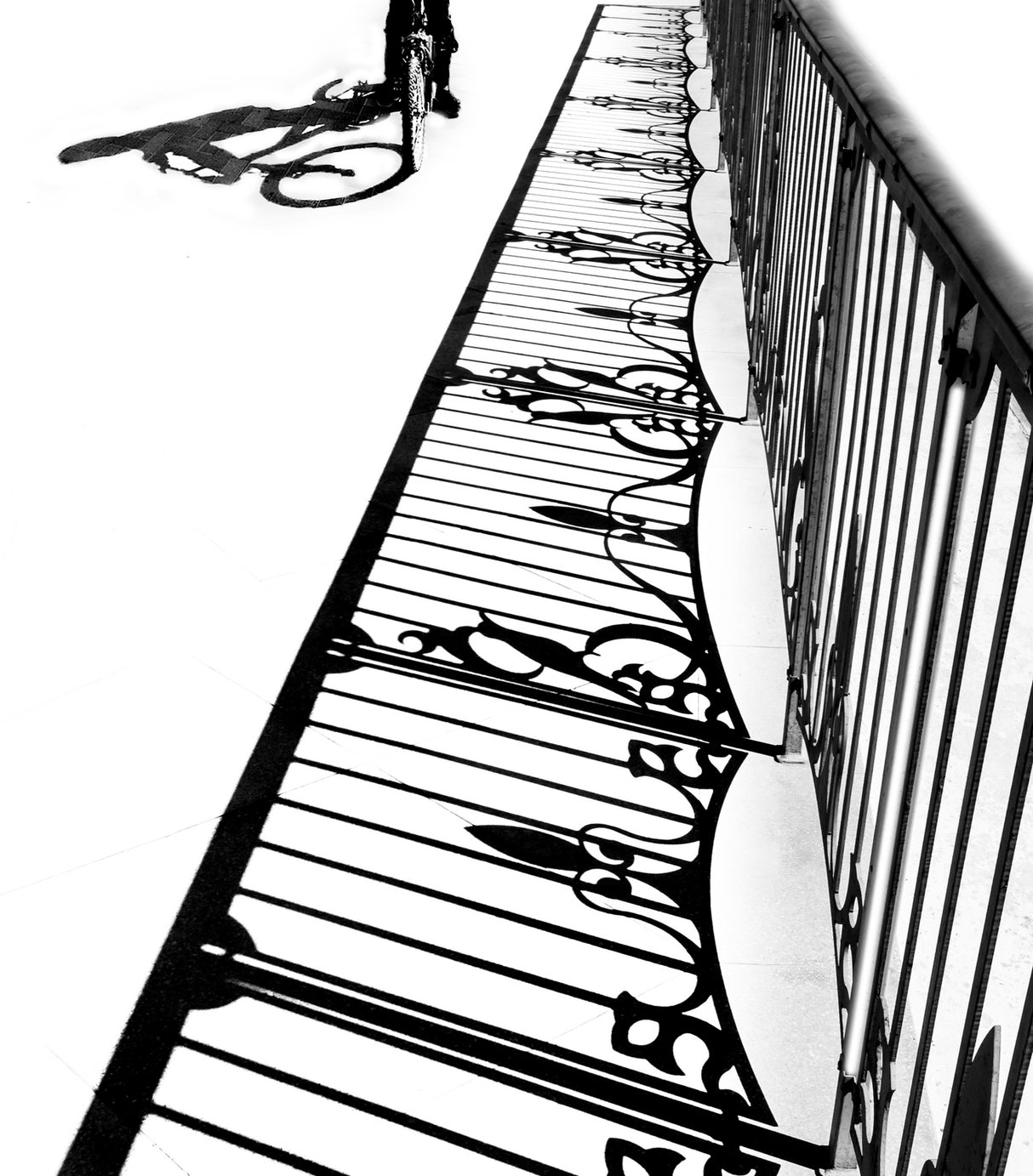 The boy on bicycle Poster och Canvastavla