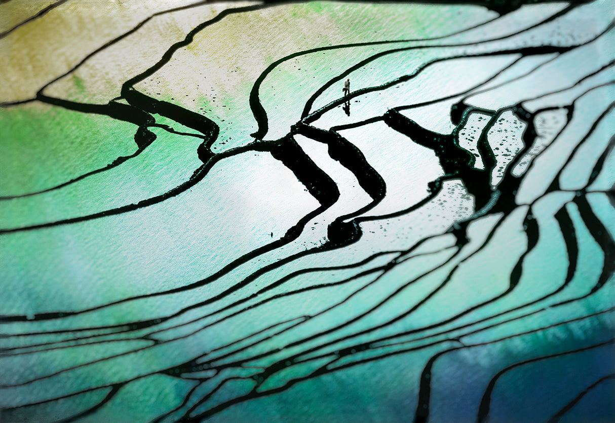 Rhythm of paddy field b Poster och Canvastavla
