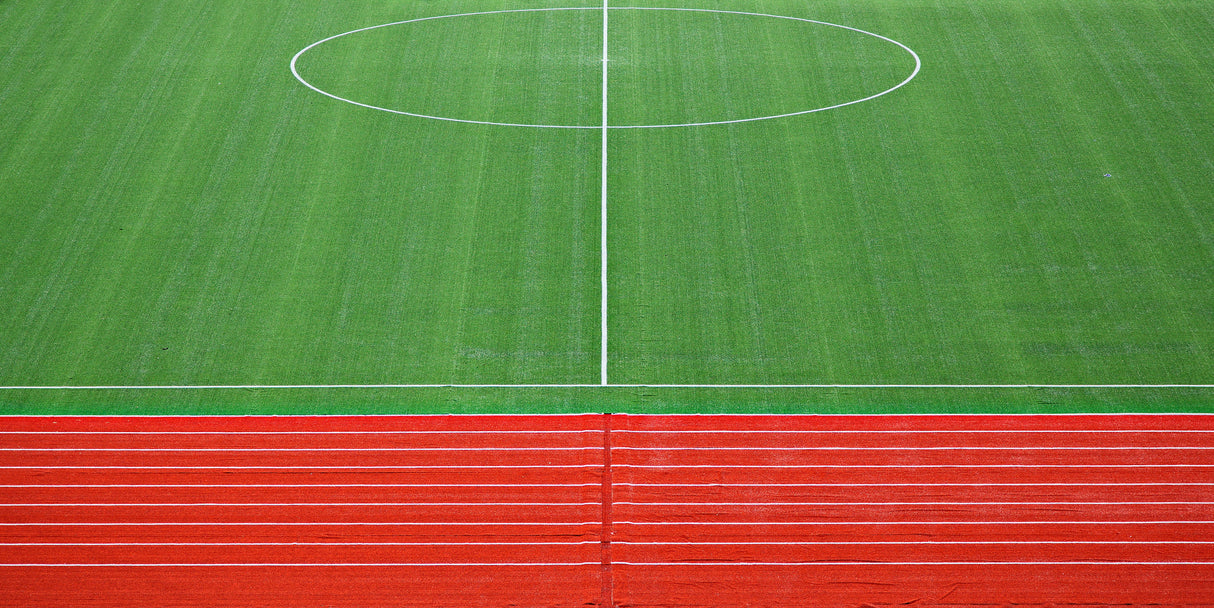 colours and lines Poster och Canvastavla