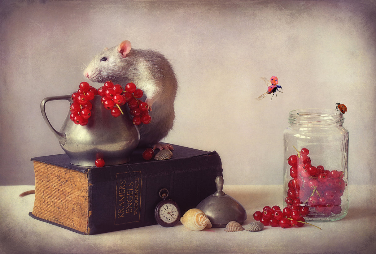 Still life with Jimmy and ladybirds... Poster och Canvastavla