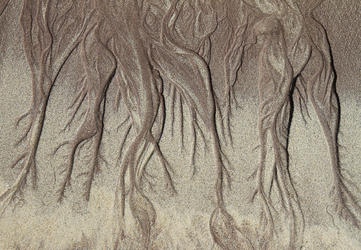 Low tide Poster och Canvastavla