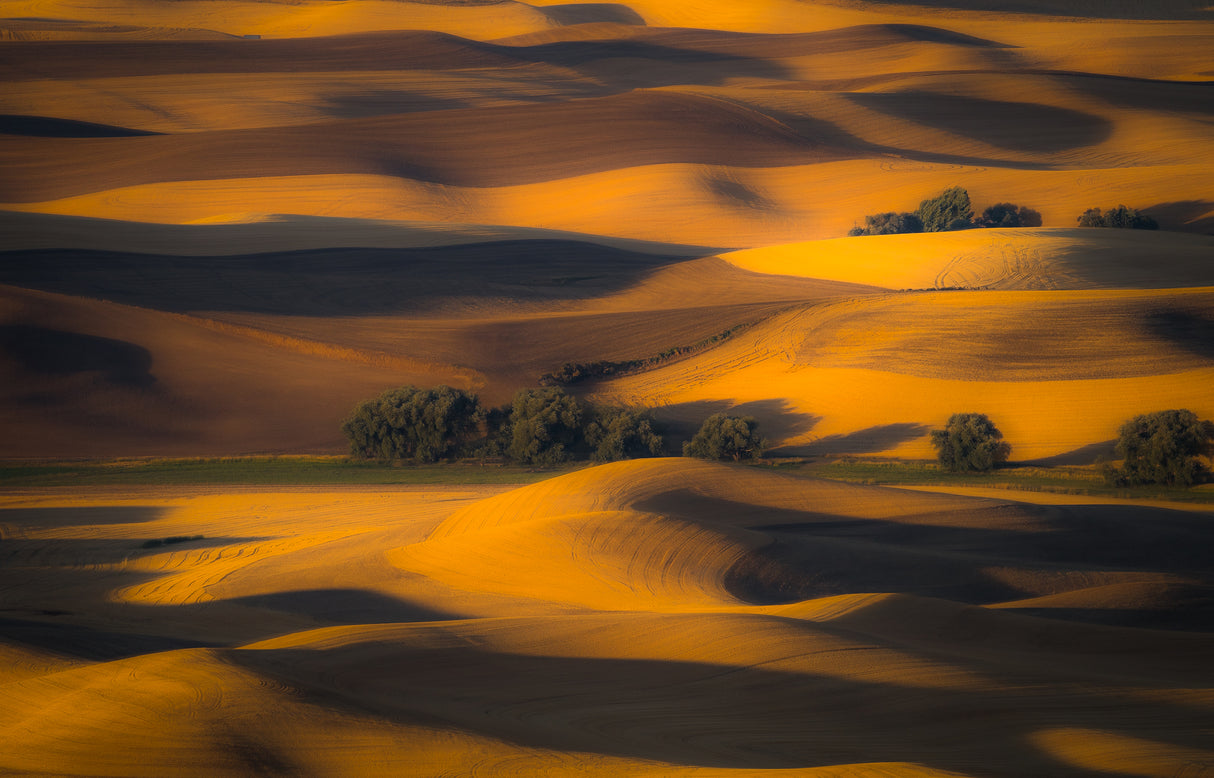 Autumn of Rolling Hills Poster och Canvastavla