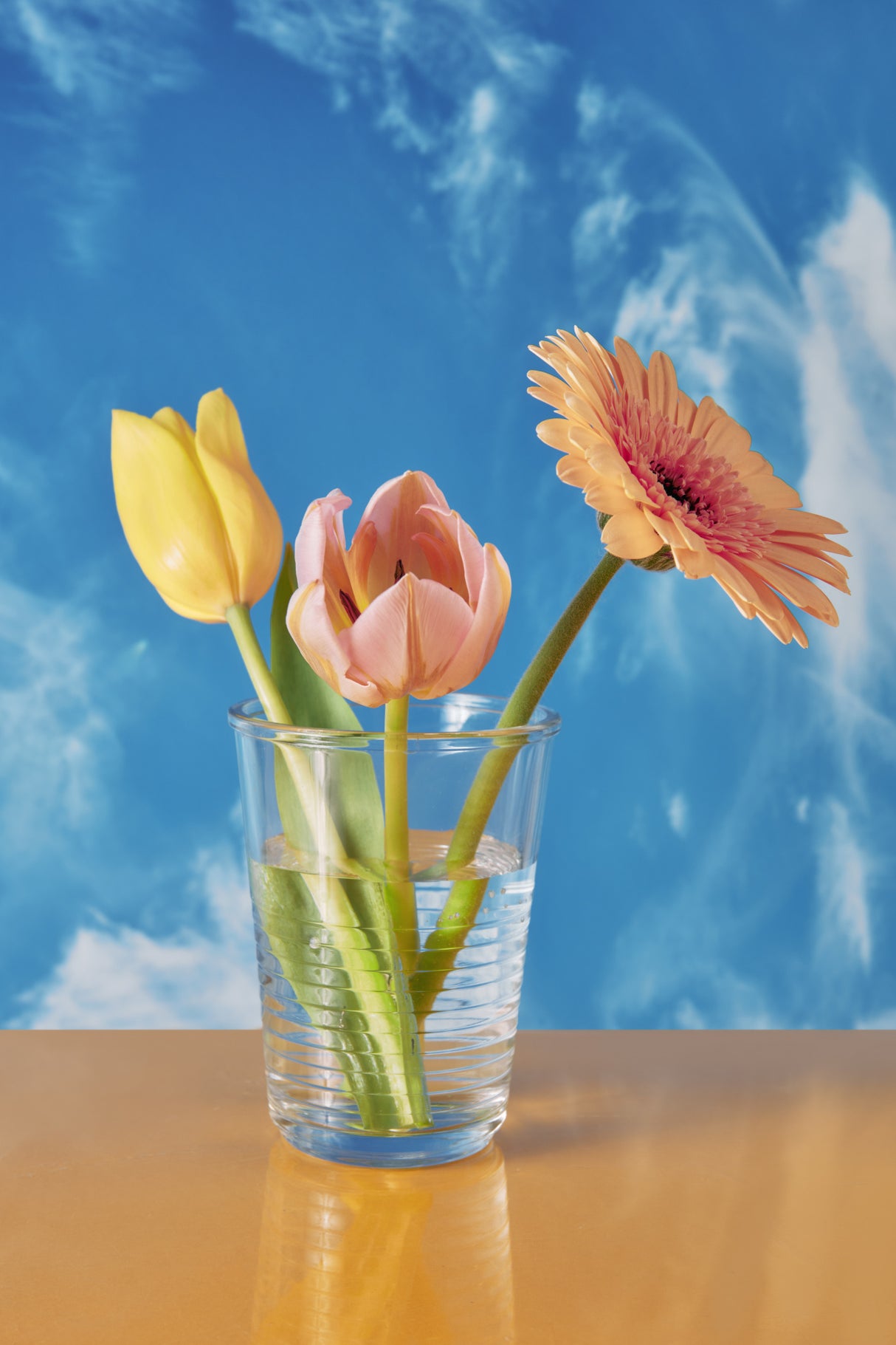 Freepik Sacolé Poster och Canvastavla