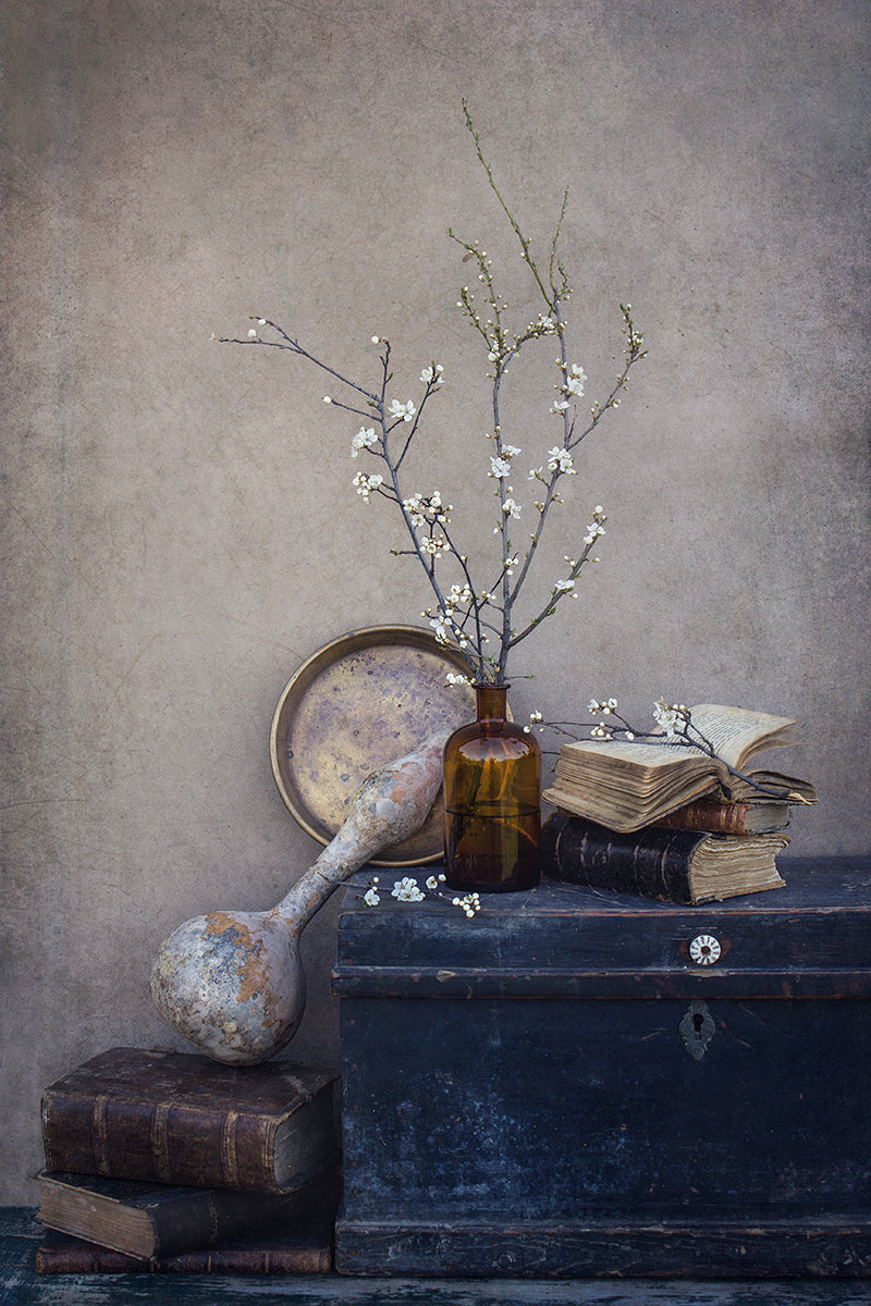 Almost spring... Poster och Canvastavla
