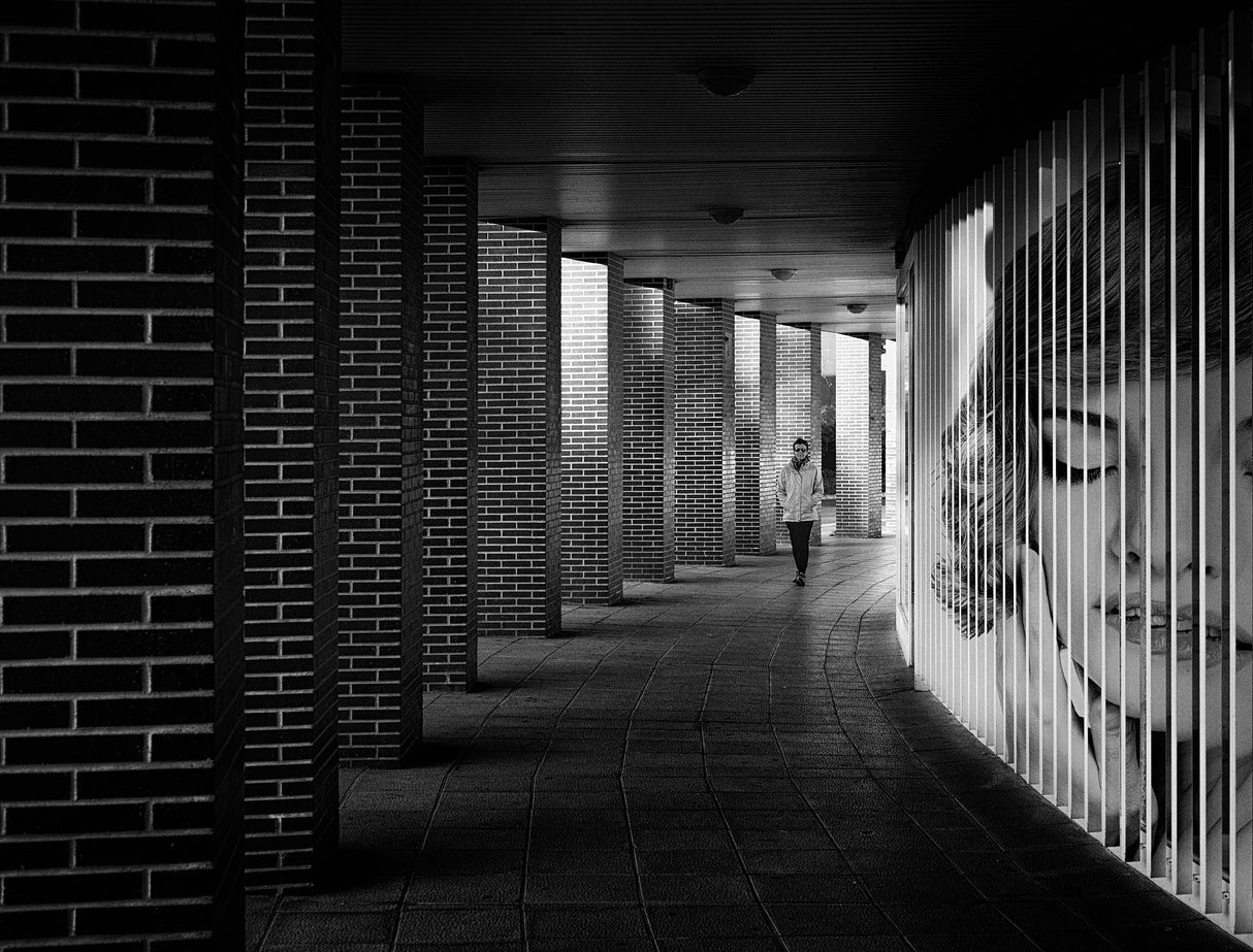 Between columns Poster och Canvastavla