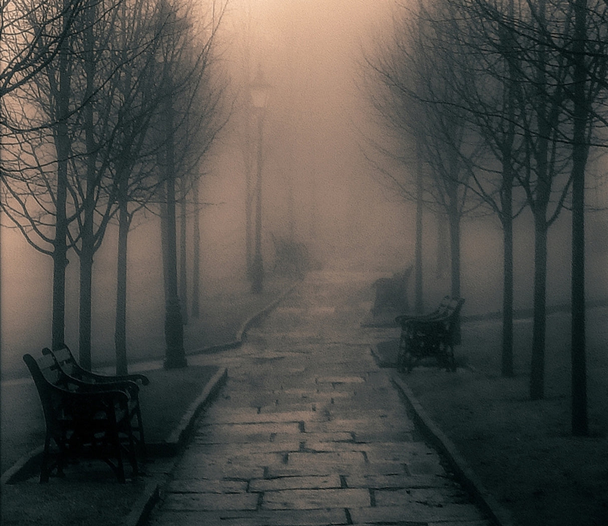 Misty Path Poster och Canvastavla