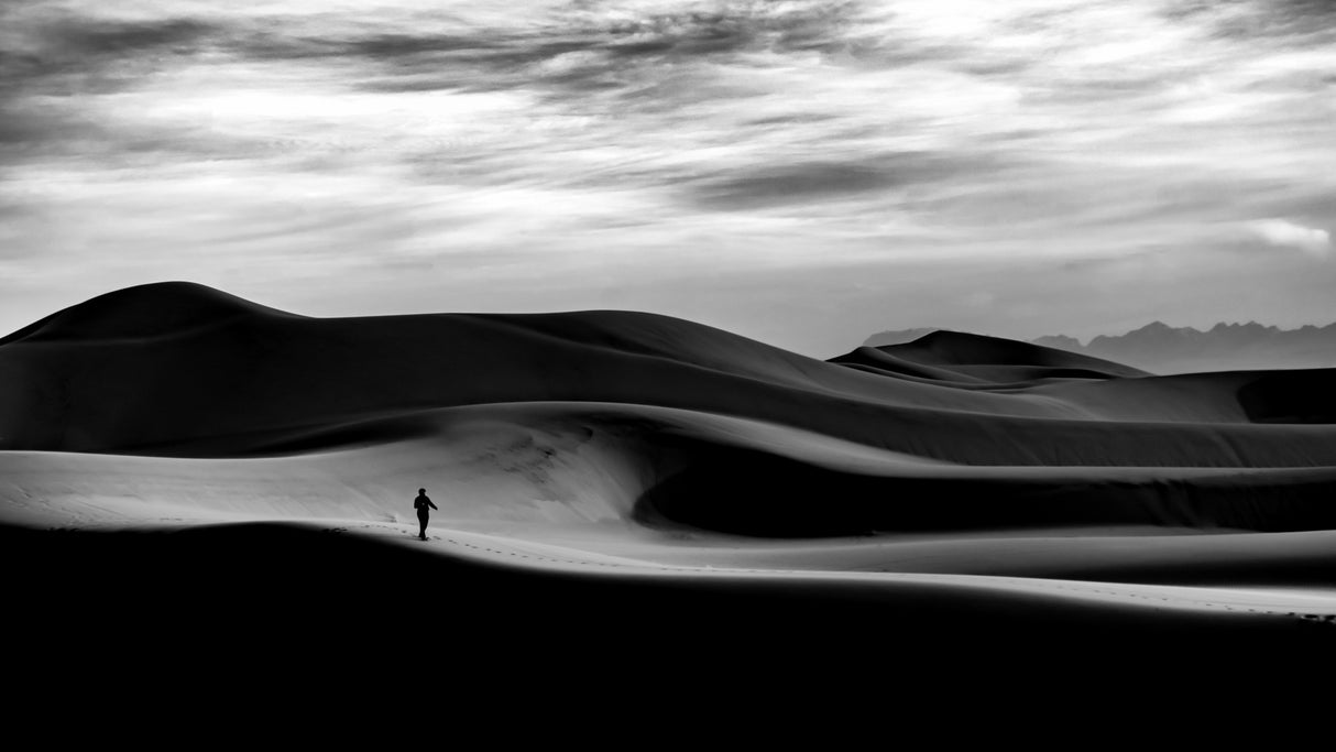 walk in the desert Poster och Canvastavla