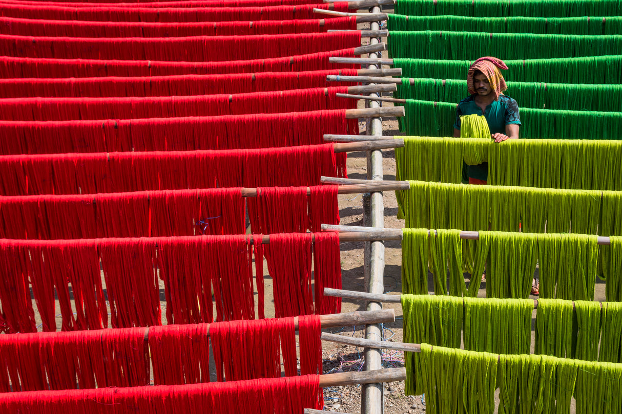 Drying Of Jute Fiber Poster och Canvastavla
