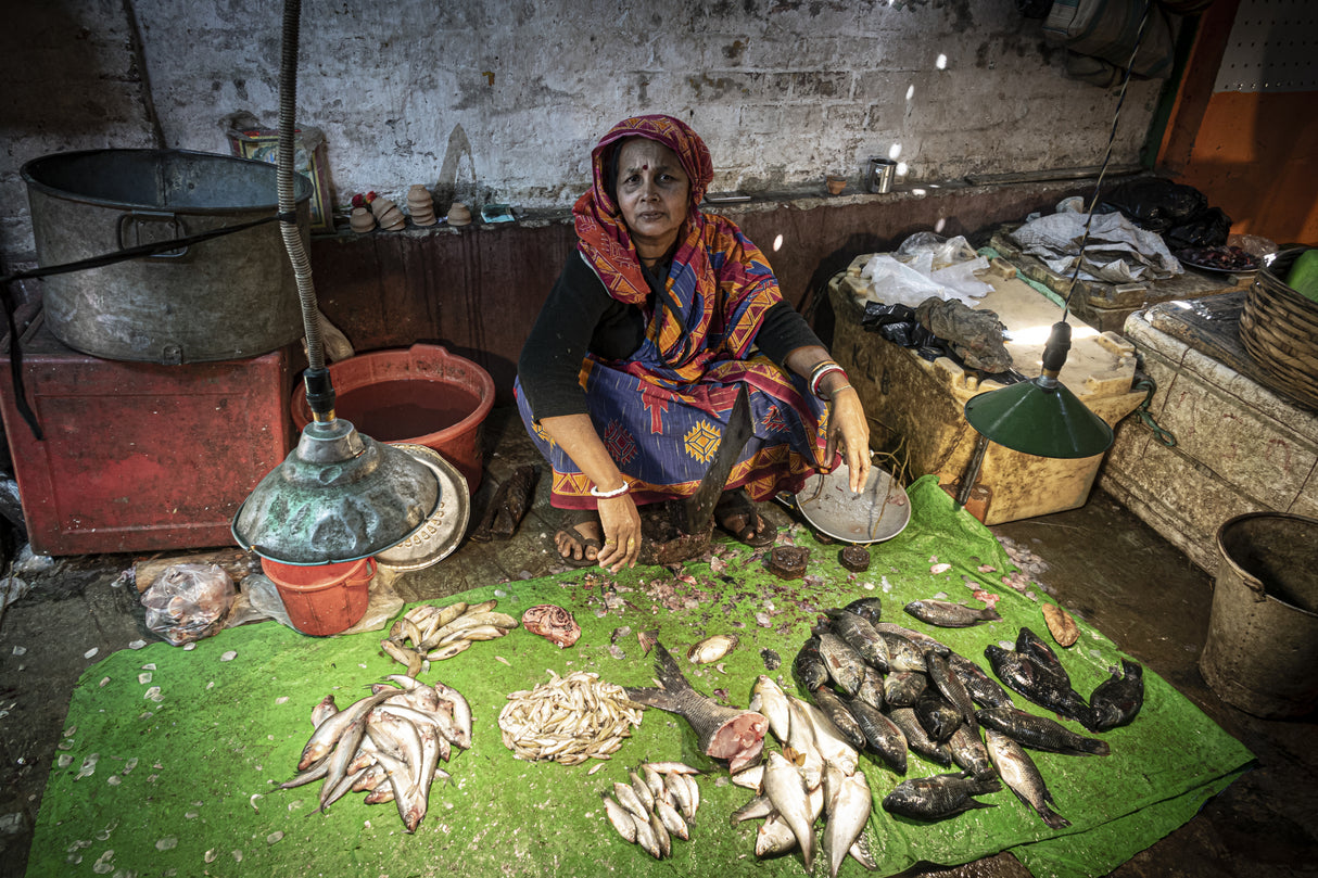 Fish market at Kumartuli, Kolkata Poster och Canvastavla
