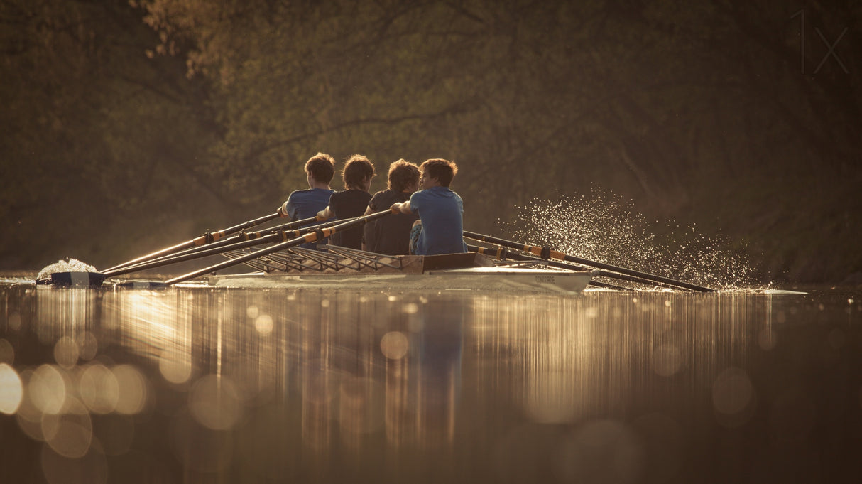 Four oar Poster och Canvastavla