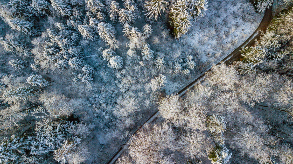 winter mood Poster och Canvastavla