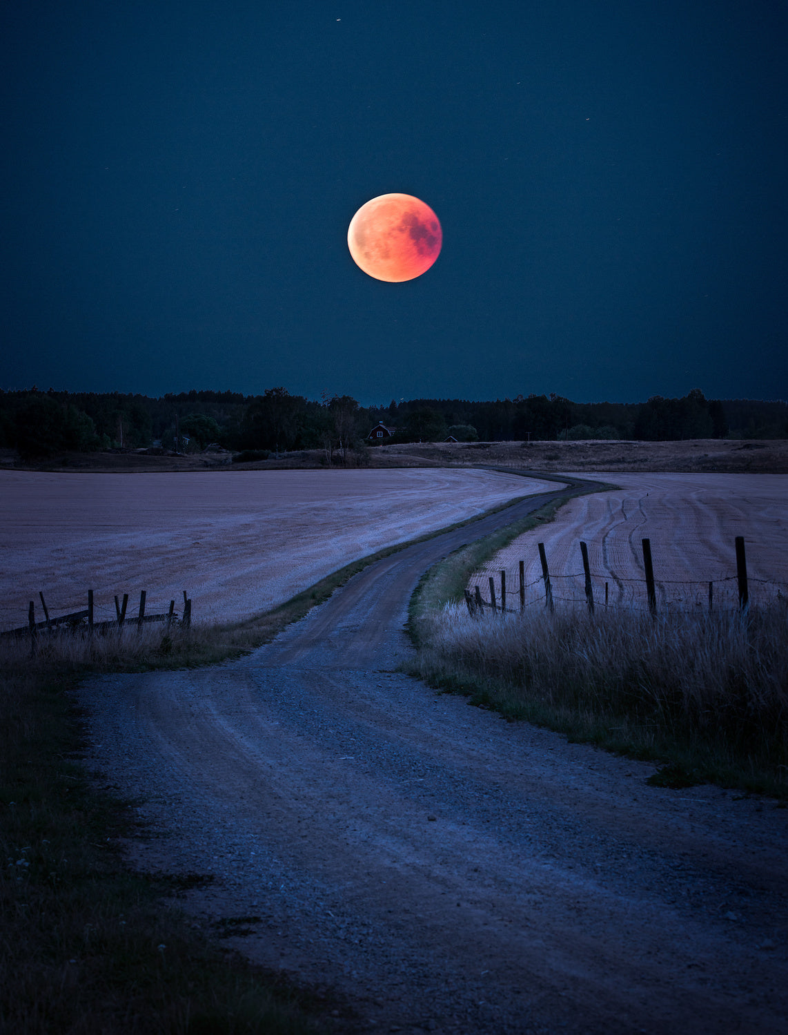 Bloodmoon 2018 Poster och Canvastavla