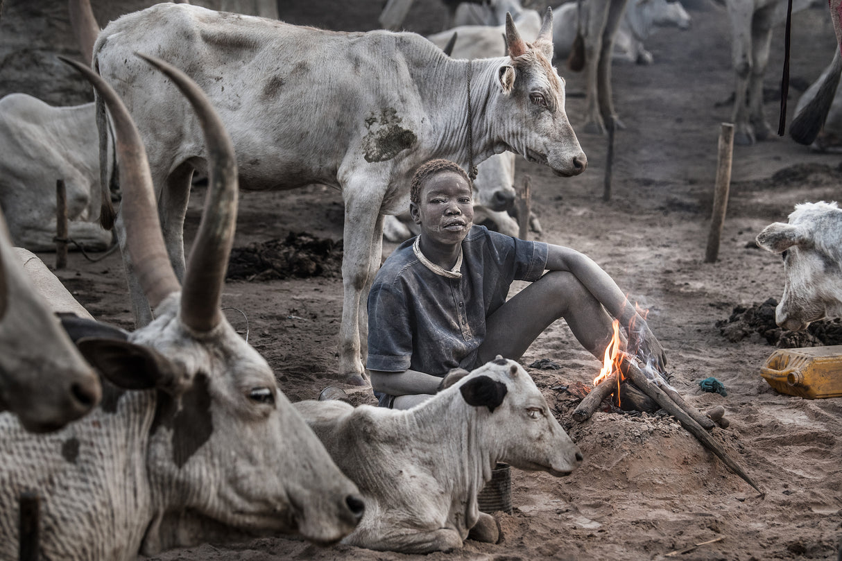 A scene of a Mundari cattle camp-II - South Sudan Poster och Canvastavla