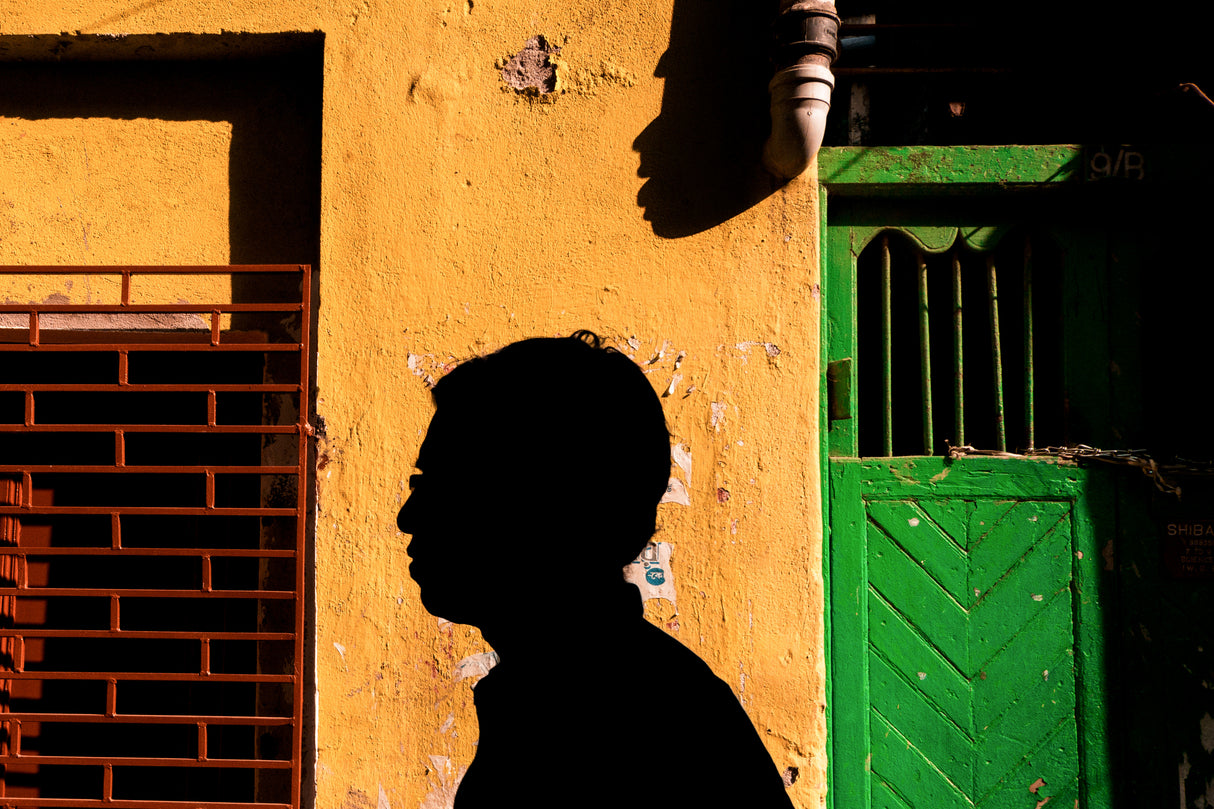 A shadow story Poster och Canvastavla