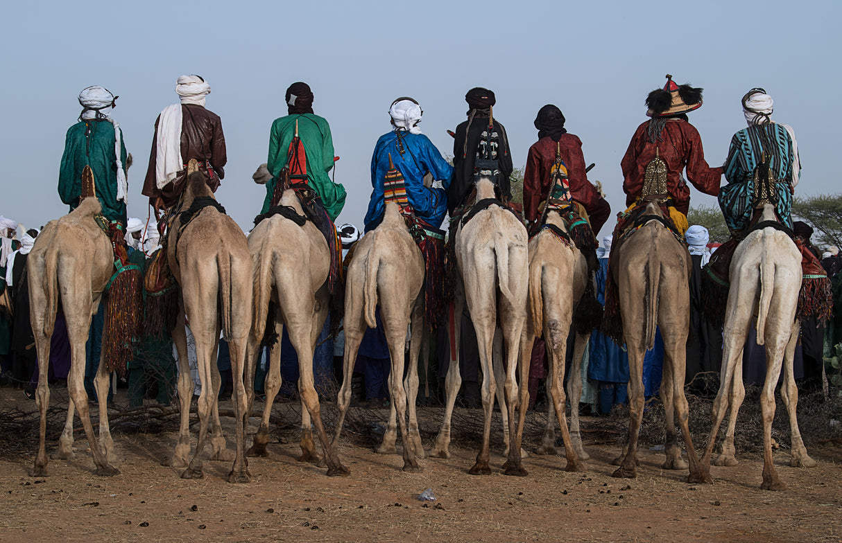 Watching the gerewol festival from the camels - Niger Poster och Canvastavla