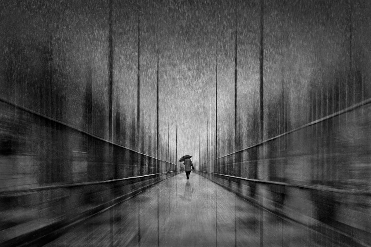 Under the starry rain Poster och Canvastavla