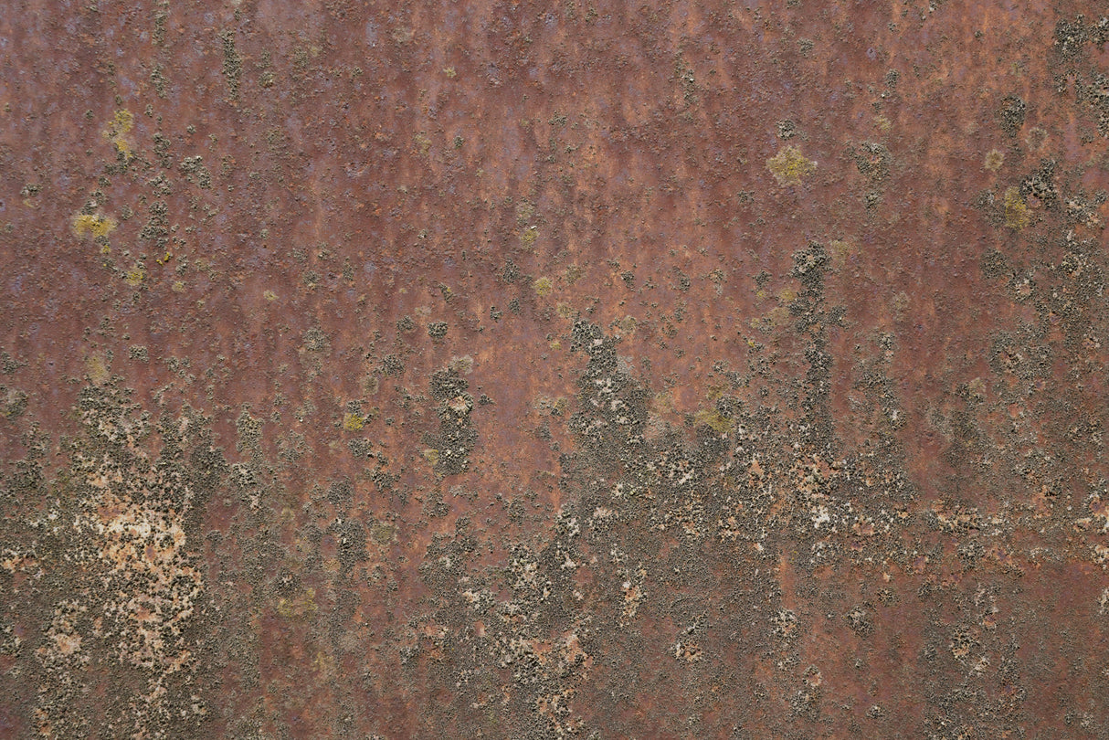 Rust 27 Poster och Canvastavla