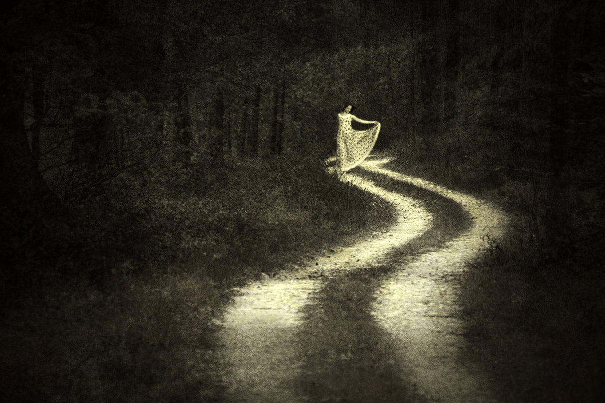 LIFE LIKE A ROAD IN THE FOREST Poster och Canvastavla