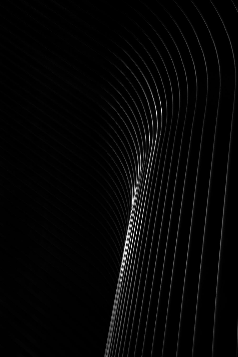 Music Strings II Poster och Canvastavla