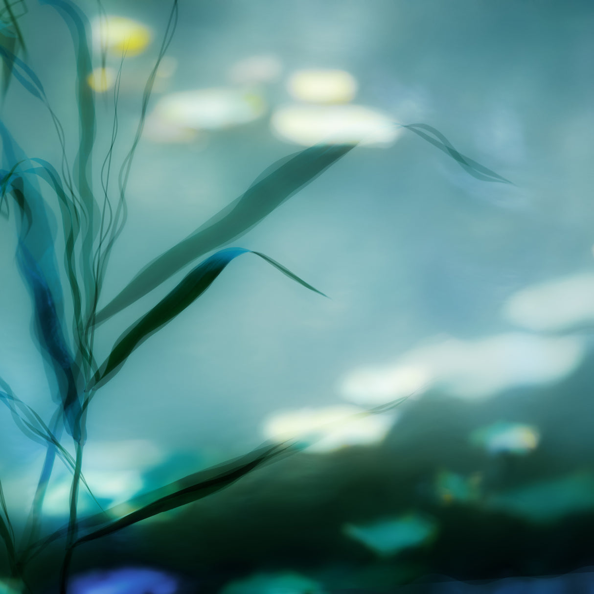 Ripples in Suzhou Poster och Canvastavla