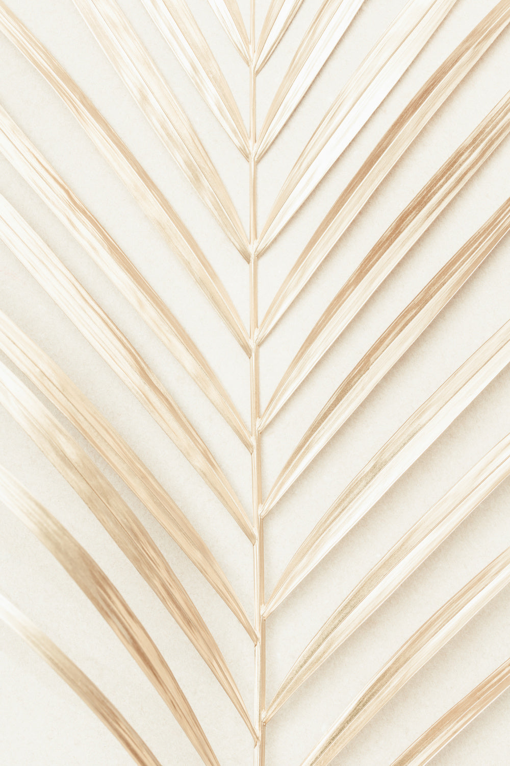 Golden Palm Leaf Poster och Canvastavla