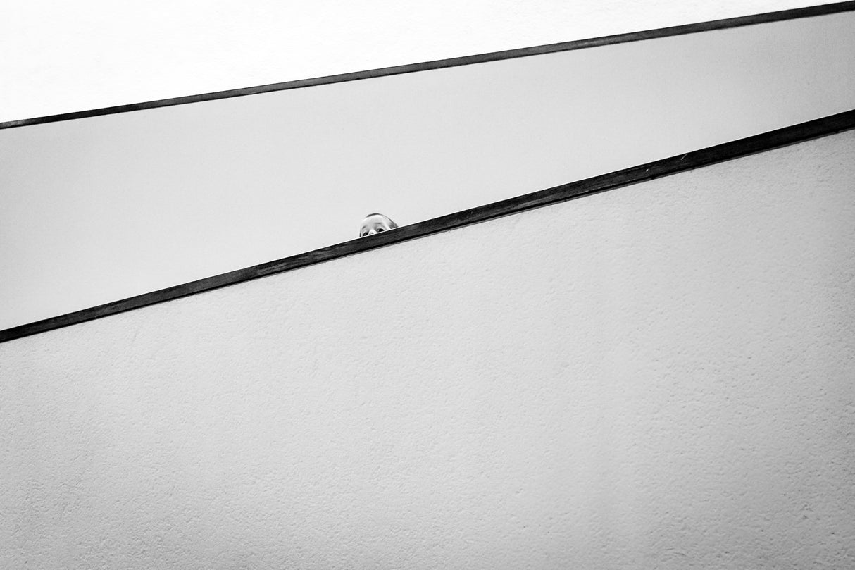 Peek Poster och Canvastavla