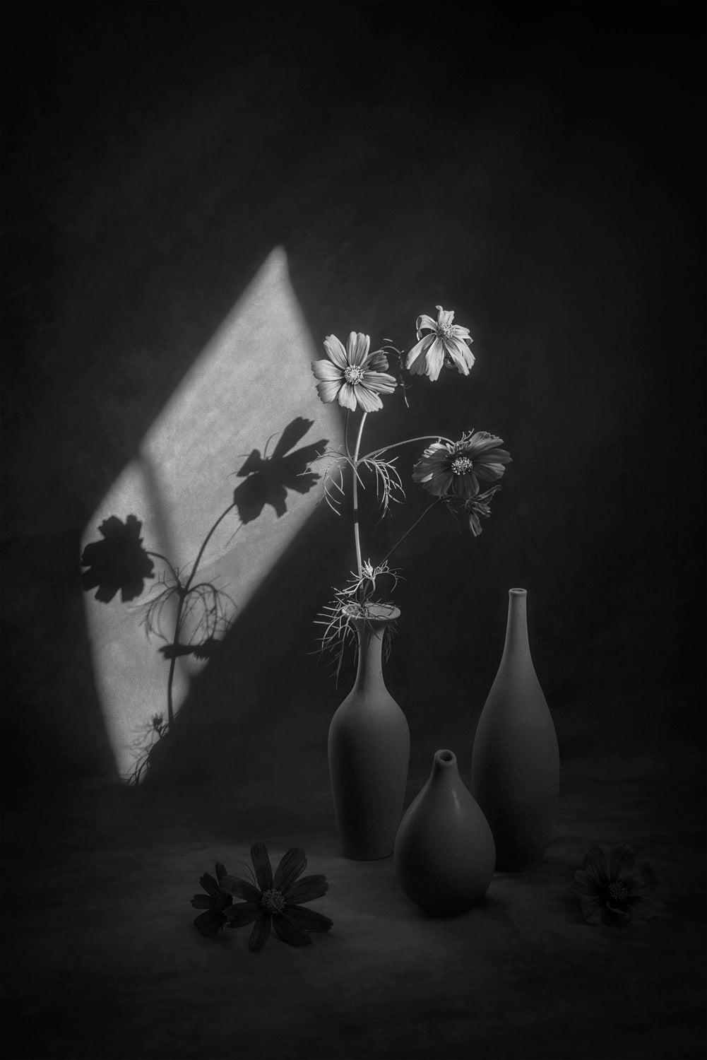 Light and Shade Poster och Canvastavla