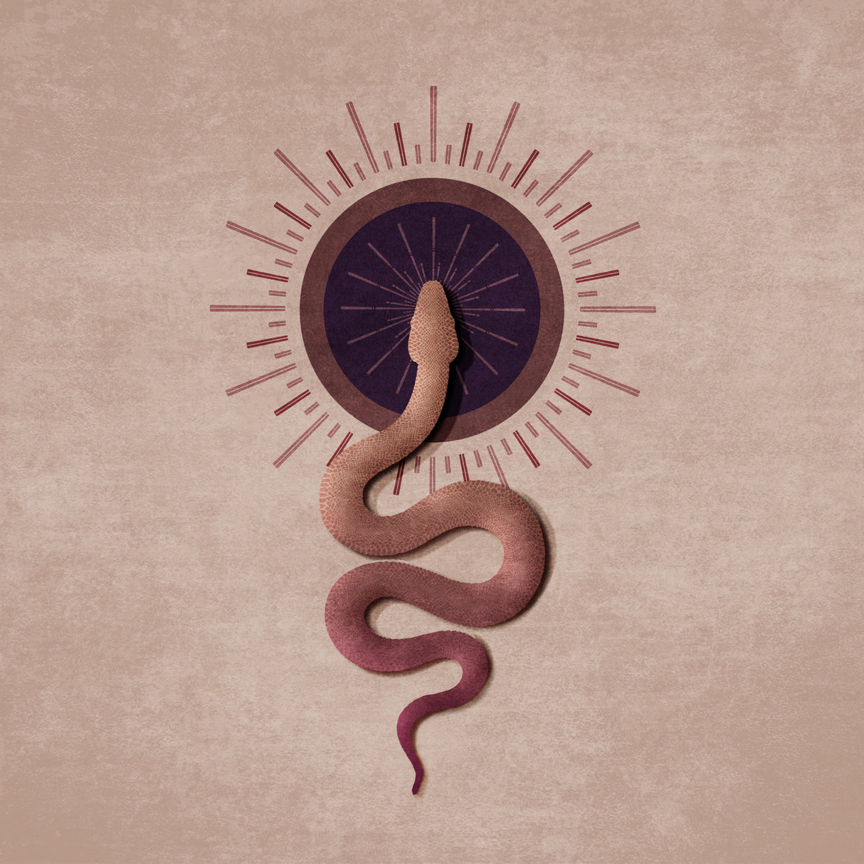 Sun Snake Poster och Canvastavla