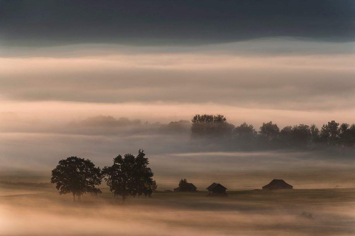 Dense fog over the moos... Poster och Canvastavla