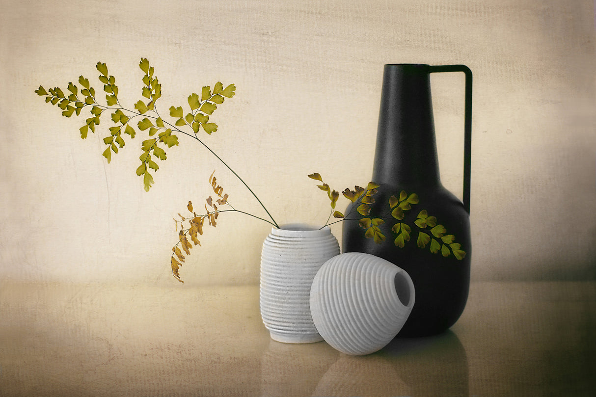 Black and white pots Poster och Canvastavla